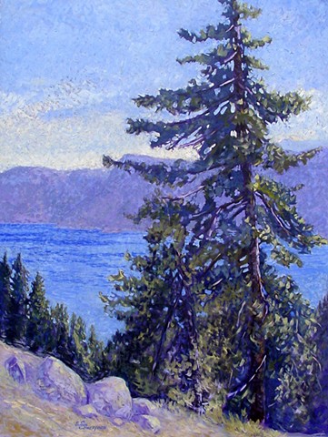 A tree on the rim of Crater Lake with the magic blue of the water as background