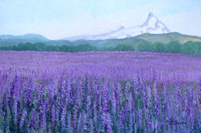 A field of Lavender in Oregon with Mount Hood in the background