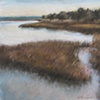 Chesapeake Wetlands II