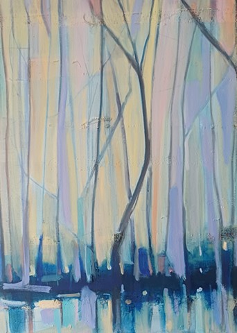 First light through Cypress