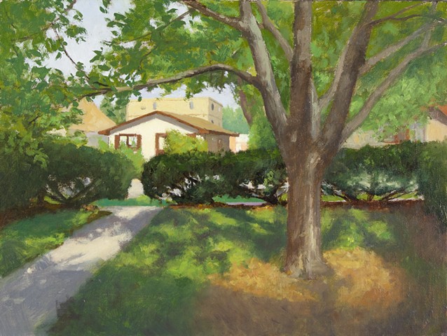 Front yard in the afternoon