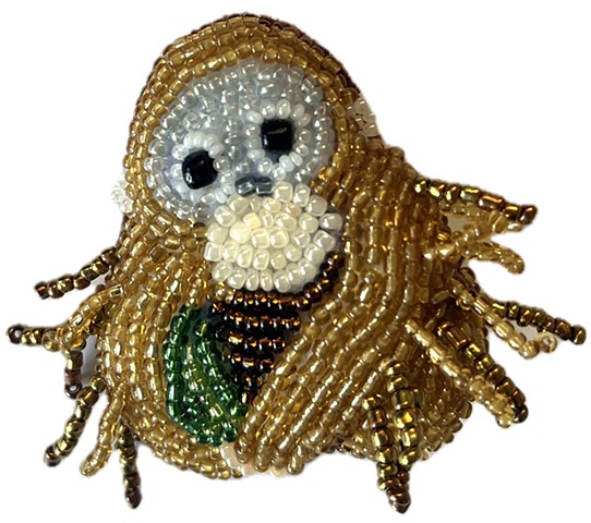 Orangutan (Pongo pygmaeus / Pongo abelii)