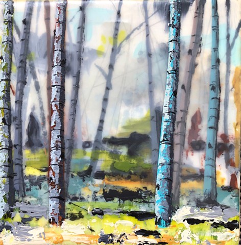 Birches in a colorful context