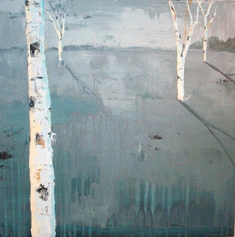 Birch trees landscape in winter