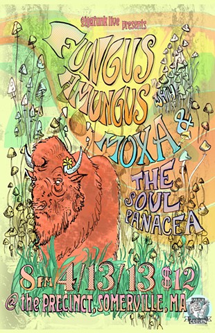 Fungus Amungus Poster