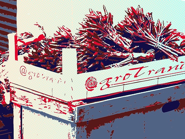 Display of Red Peppers, Early Morning Market, Venice, Italy