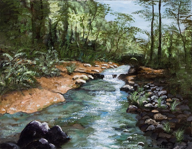 rocks,riffles &  sandy edged creek in forest