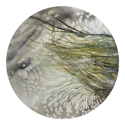 DuPage River, notes on the river 4