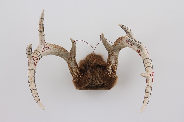 hand embroidered deer antlers