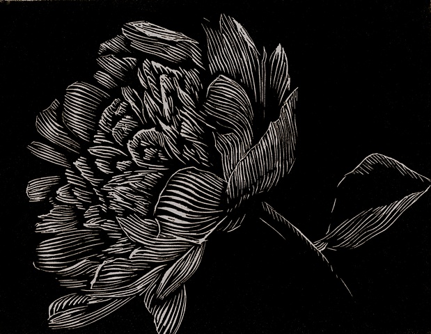 a relief engraving of a peony flower 