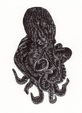 Black Octopus engraving print printmaking art wood engraving linocut woodcut resingrave squid