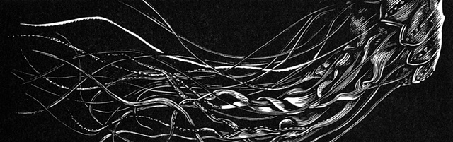 jellyfish engraving from a resingrave block, underwater sea ocean black and white tenticles 