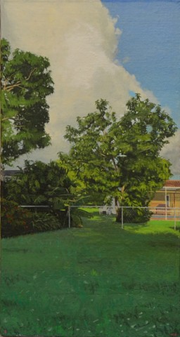 Frank's Avocado Tree