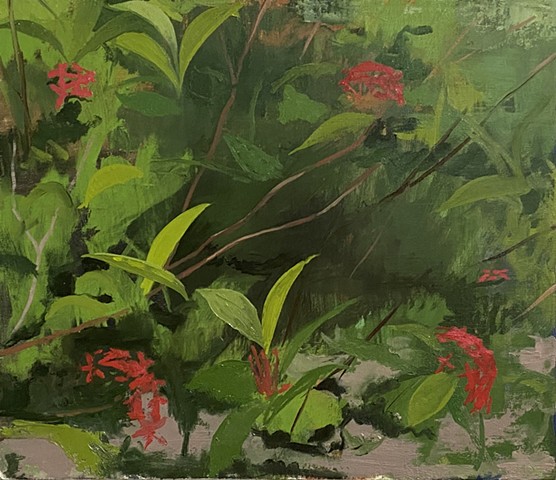 Outside the Bedroom Window