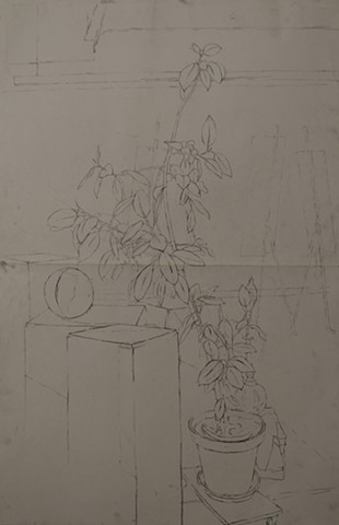 Plant on Fourth Floor, DCAD