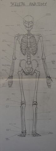 Skeletal Drawing/24x48/GraphiteonPaper/2013