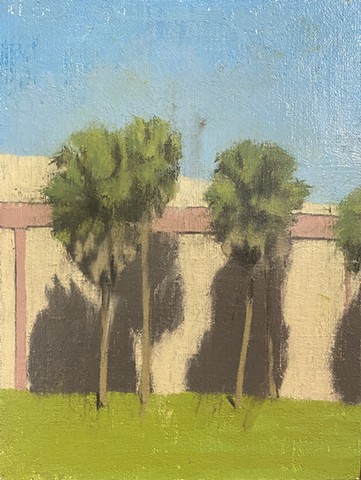 Sabal Palm Trees behind the Fire Station