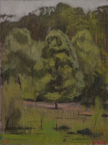 Study for Southeast Park