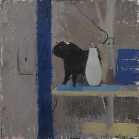 Tuesday, A Strong Resolution - El Toro Bravo