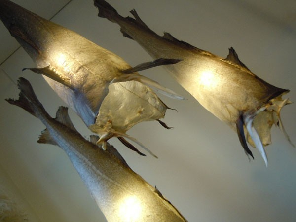 Uggi lights 