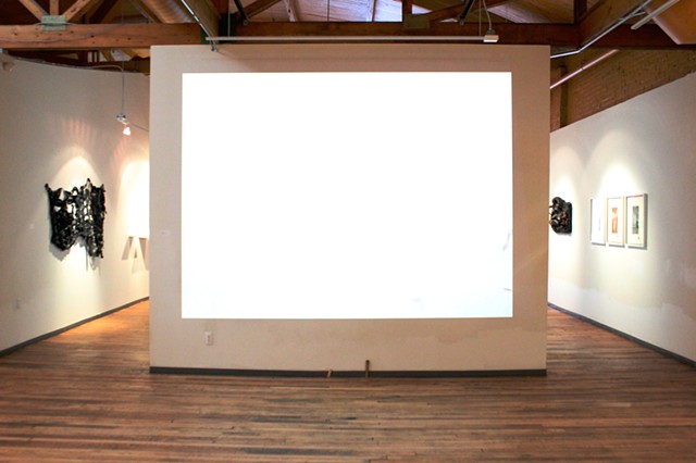 ECHOES IN A SHALLOW BAY installation view