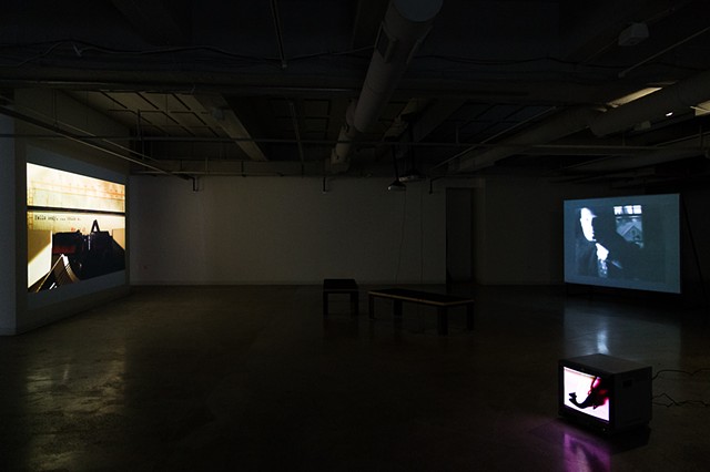 Desire as Politics installation view 6