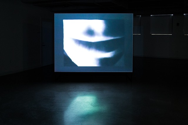 Desire as Politics installation view 7