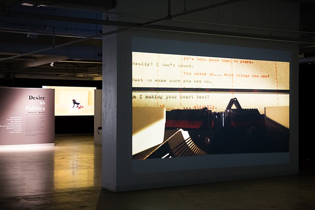 Desire as Politics installation view 8