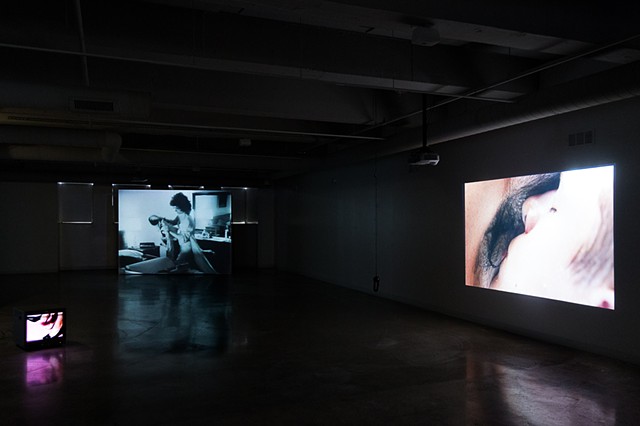 Desire as Politics installation view 4