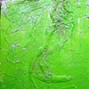 Green Tissue