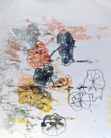 Nasturtium study
