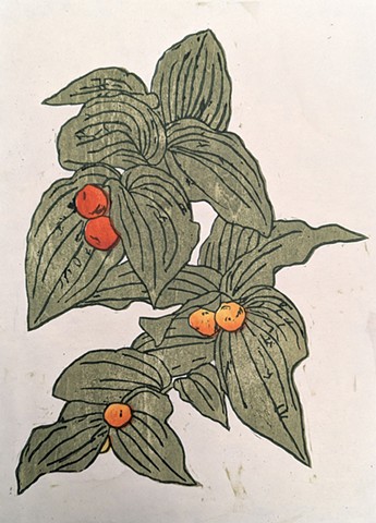 Rough-fruited fairy bells Miquelon Lake