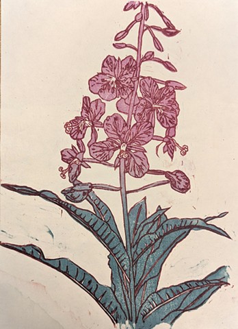 Fireweed, Chickakoo