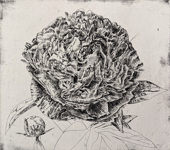 Botanical Printmaking 2025