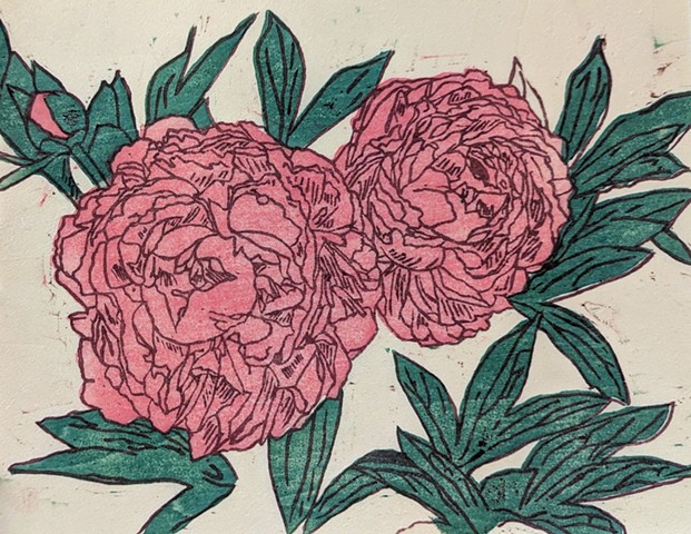 Peony study