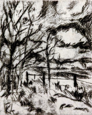 Parkland county drypoint study