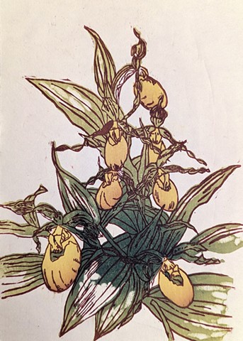 Yellow Lady's Slippers, Wagner