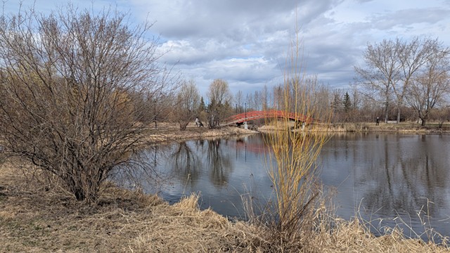 Artist Laureate for the Town of Stony Plain
