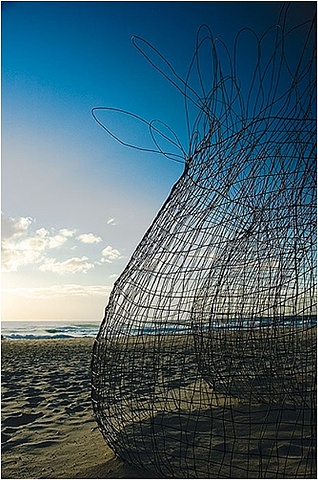 wire sculptures