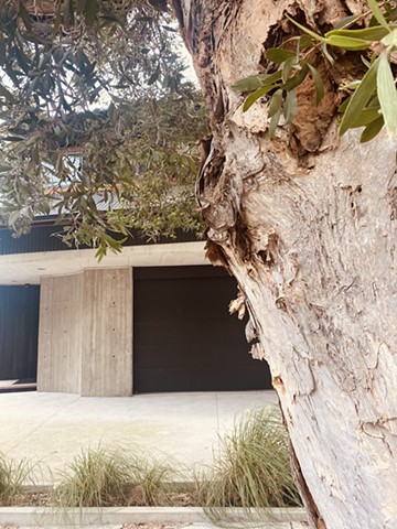 Botany Road House(s)