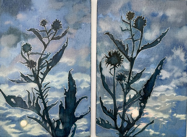 Cardoon Moon Rising (diptych)