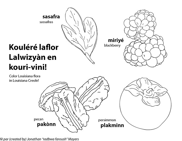 Kouléré laflor Lalwizyàn en kouri-vini!
