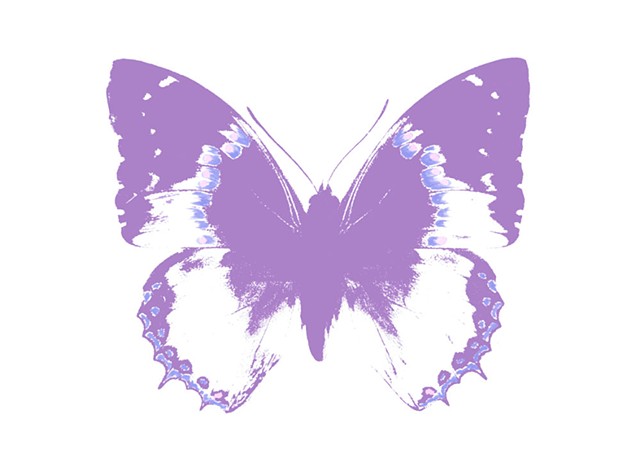 Butterfly Amethyst