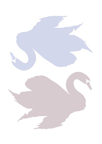 Swan Dreaming