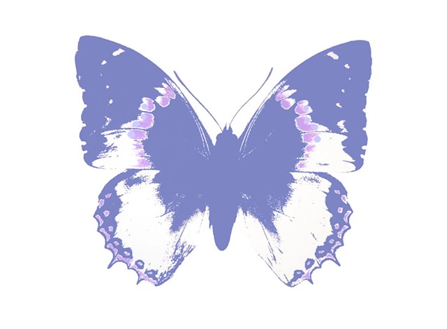 Butterly Indigo