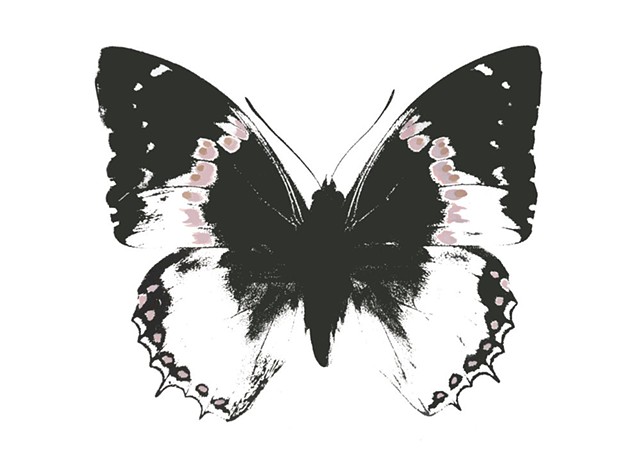 Black Butterfly