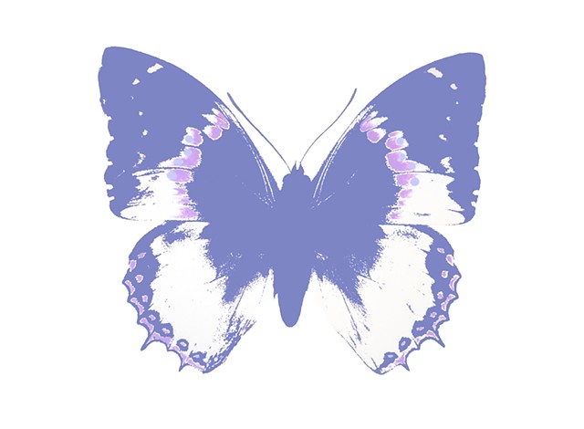 Butterfly Indigo