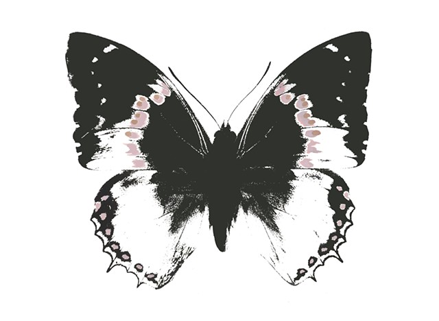 Black Butterfly