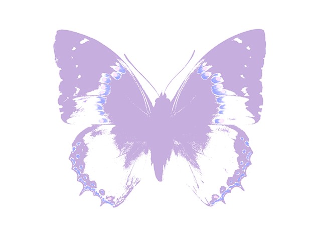 Butterfly Amethyst