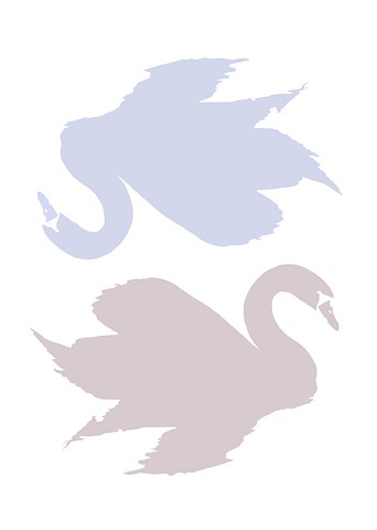 Swan Dreaming